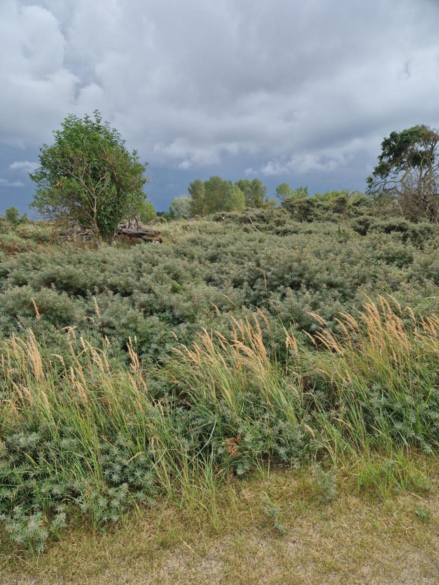 Bed and Breakfast Duin-Vliet Bentveld Esterno foto
